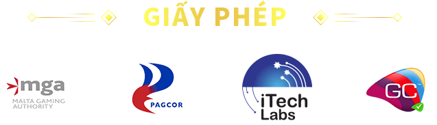 Giấy Phép Vin88