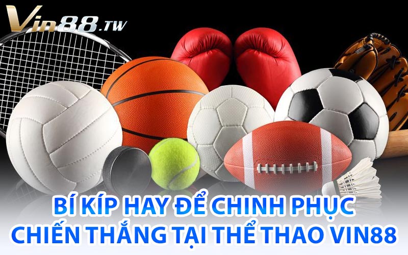 thể thao vin88