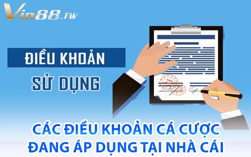 Điều Khoản Cá Cược Vin88