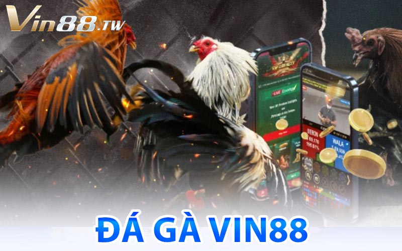 Đá Gà Vin88