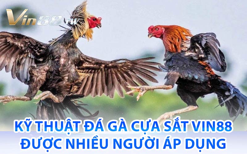 Đá Gà Cựa Sắt Vin88