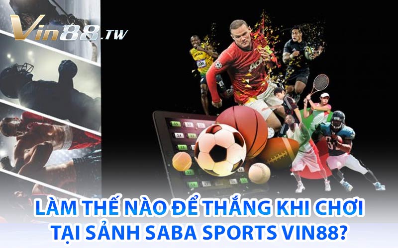 Saba Sports vin88