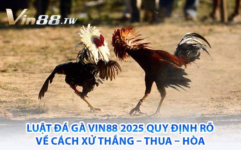 Luật đá gà vin88 2025