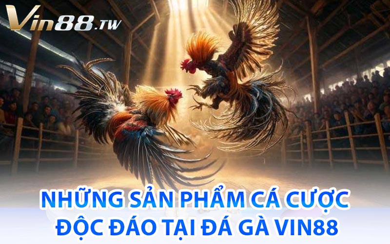 đá gà vin88
